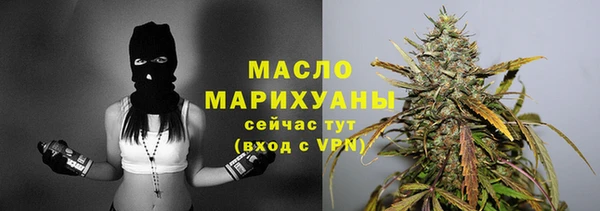 прущие грибы Медногорск