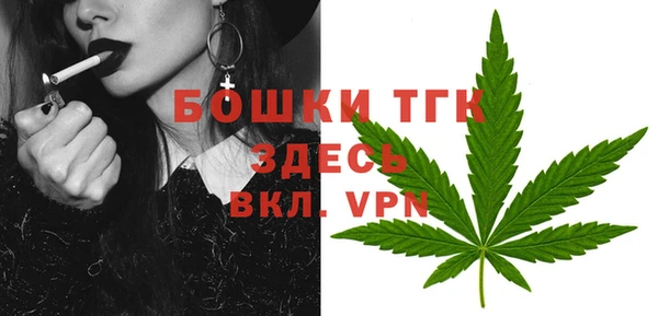 прущие грибы Медногорск