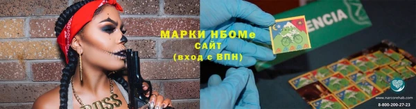 прущие грибы Медногорск