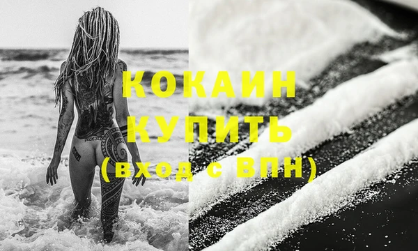 прущие грибы Майский