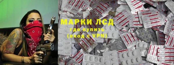 прущие грибы Медногорск