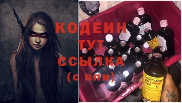 прущие грибы Медногорск