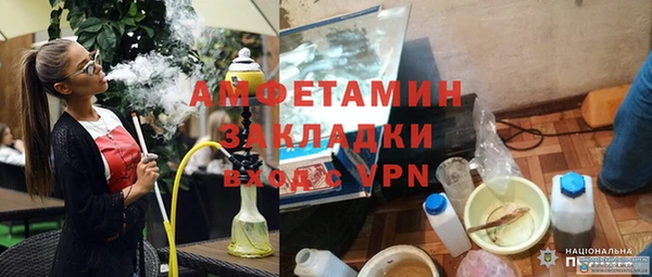 прущие грибы Медногорск